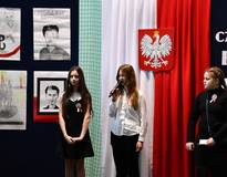 Obraz przedstawiający IX Gminny Dzień Patriotyzmu